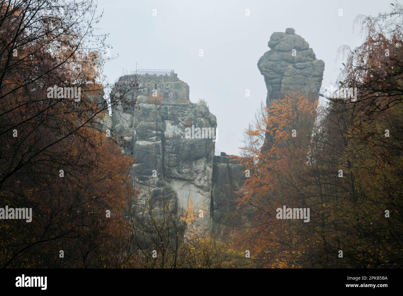 Externsteine en noviembre en el bosque de Teutoburg Foto de stock