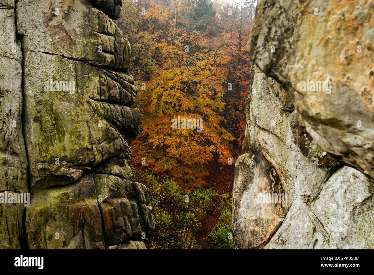 Externsteine en noviembre en el bosque de Teutoburg Foto de stock