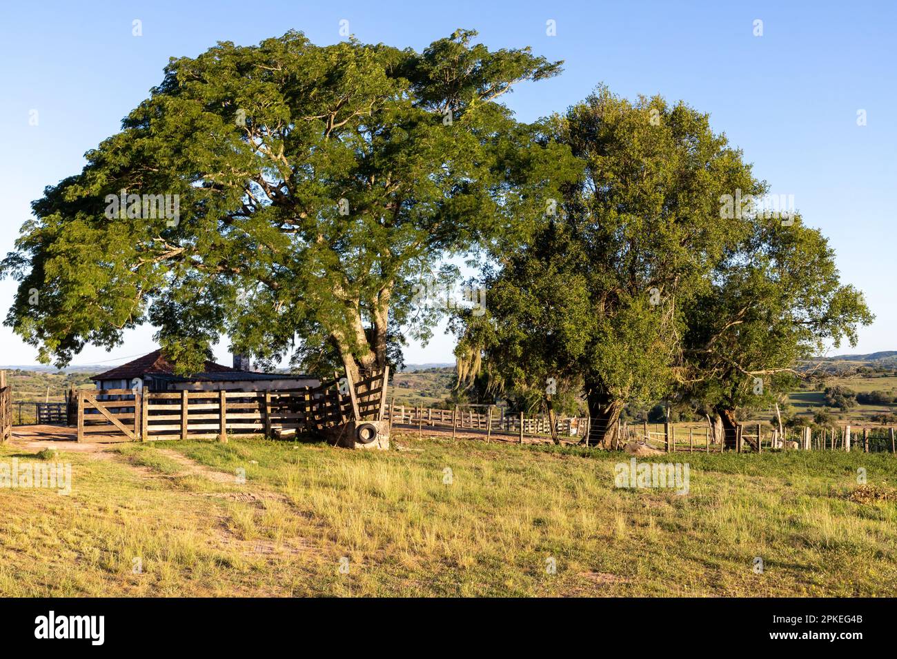 Árboles y edificios en un campo agrícola, Cacapava do Sul, Rio Grande do  Sul, Brasil Fotografía de stock - Alamy
