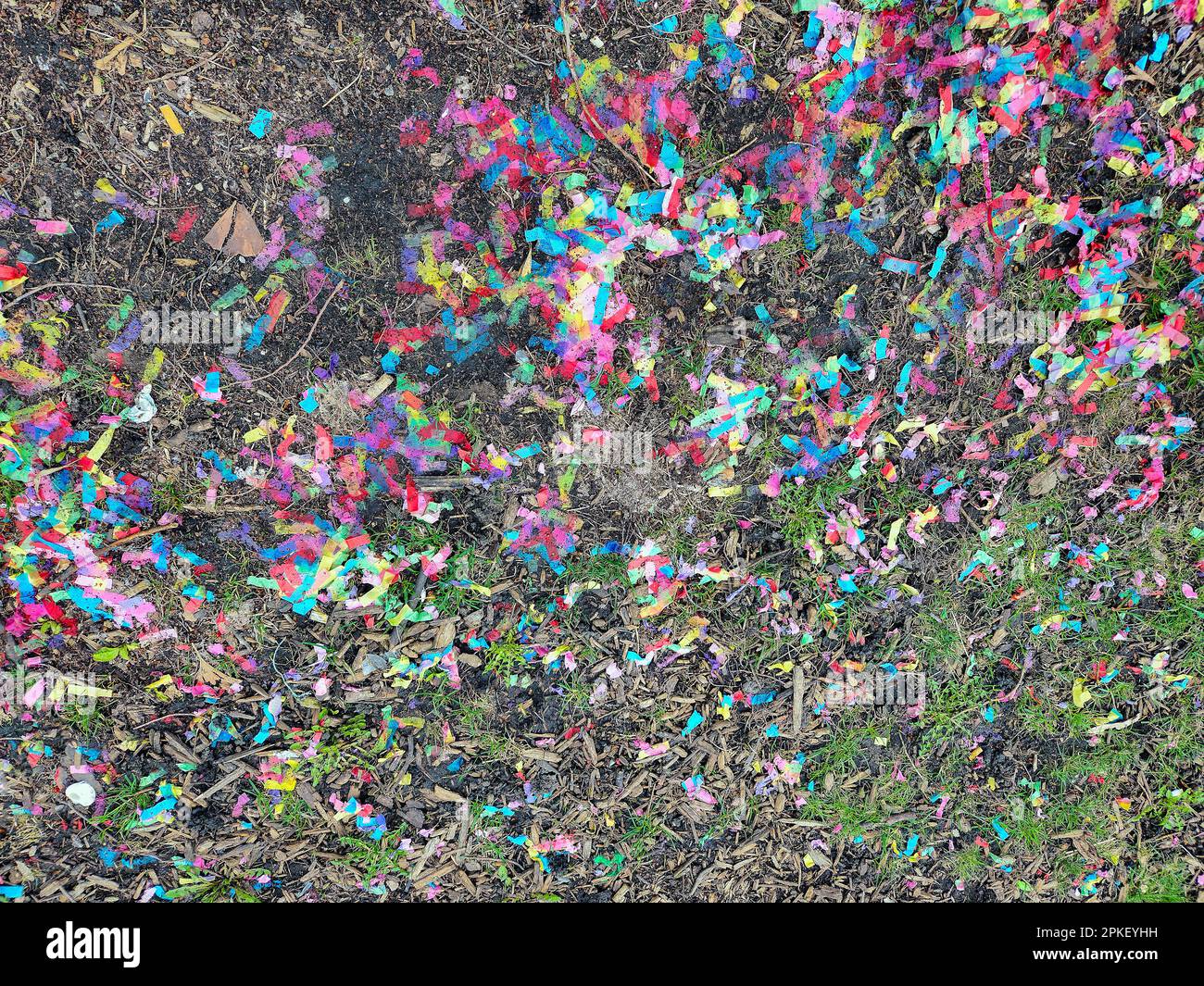 Confeti de papel colorido en tierra y hierba en el suelo Foto de stock