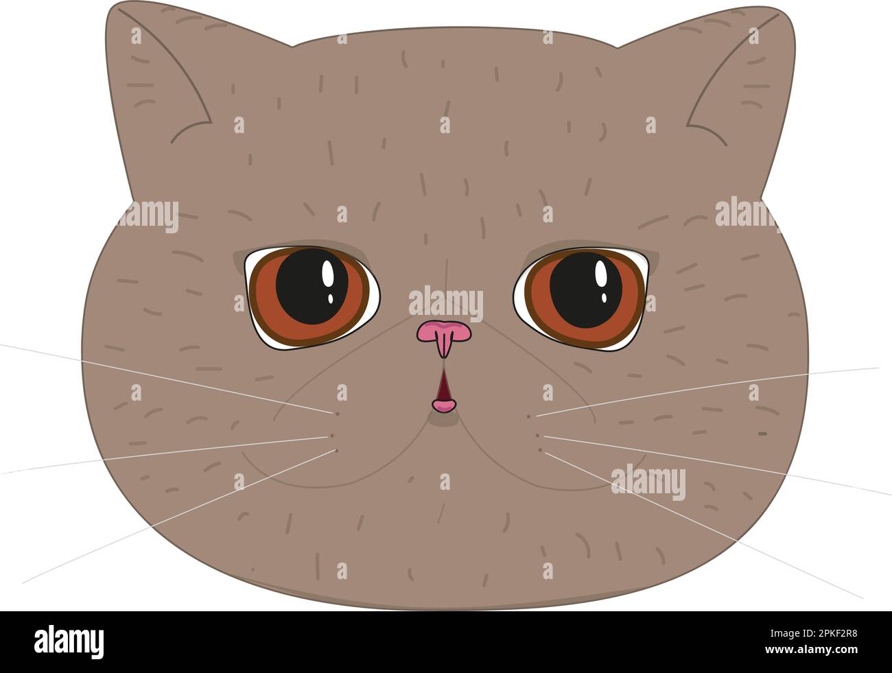 Ilustración vectorial de gato exótico en color marrón aislado sobre fondo blanco Ilustración del Vector