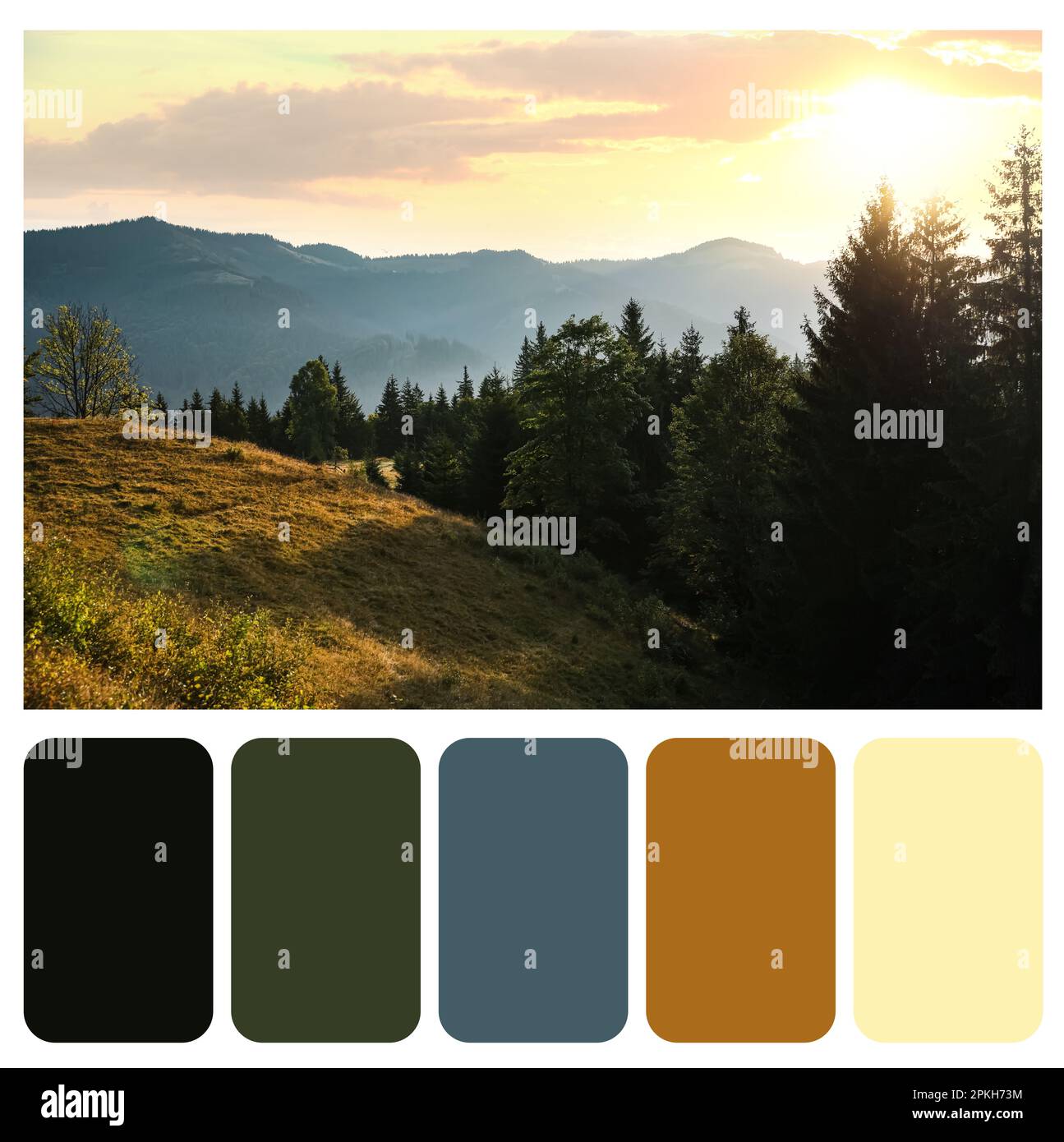 Paleta de colores apropiada para la foto del hermoso paisaje de montaña en la mañana Foto de stock