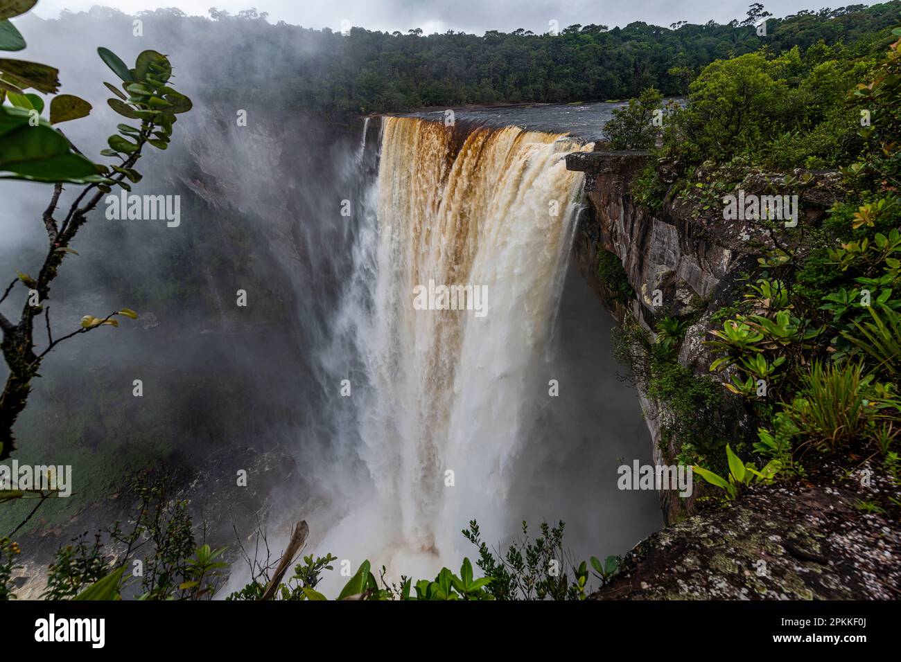 Las cataratas de Kaieteur, río Potaro, Guyana, Sudamérica Foto de stock