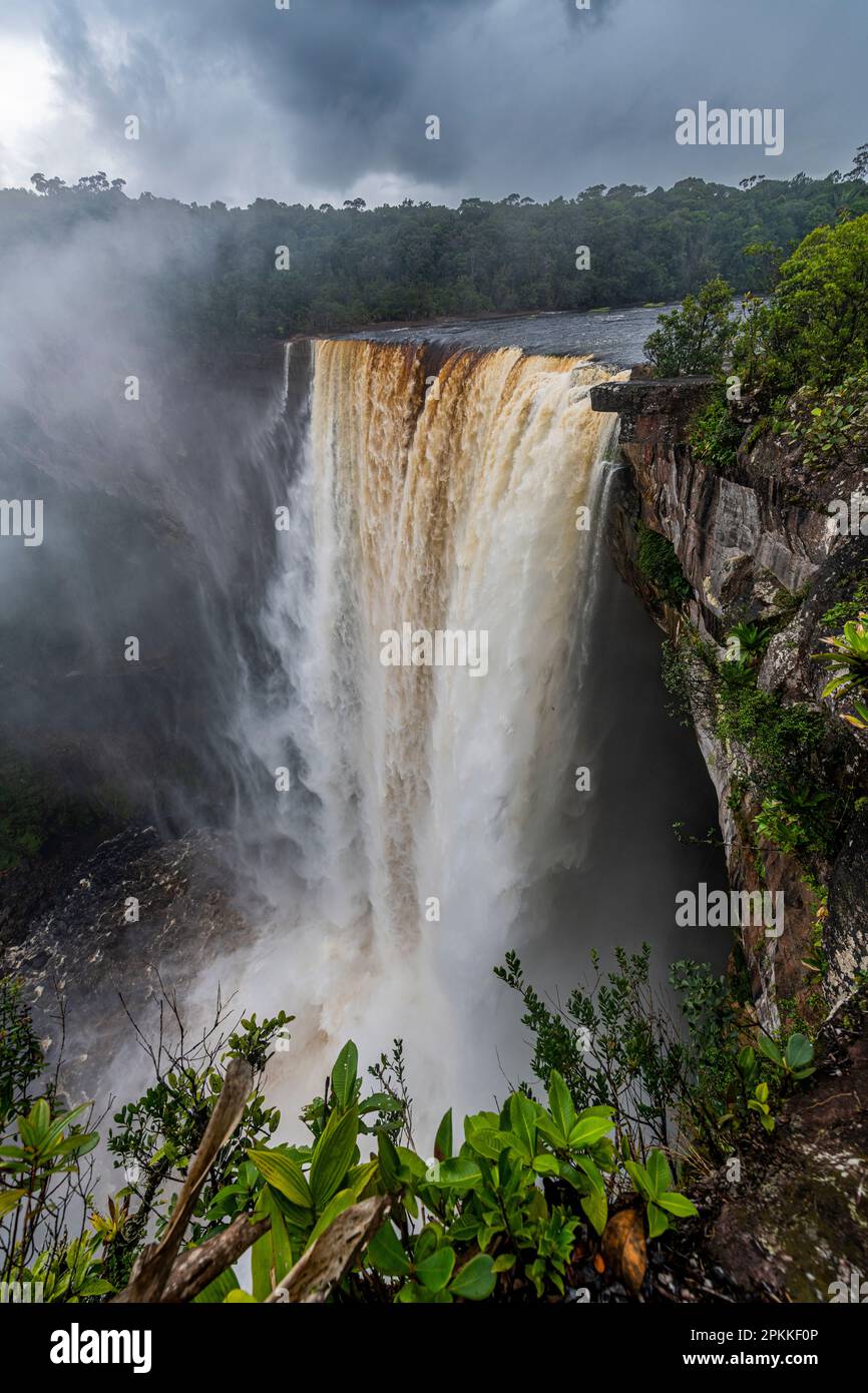 Las cataratas de Kaieteur, río Potaro, Guyana, Sudamérica Foto de stock