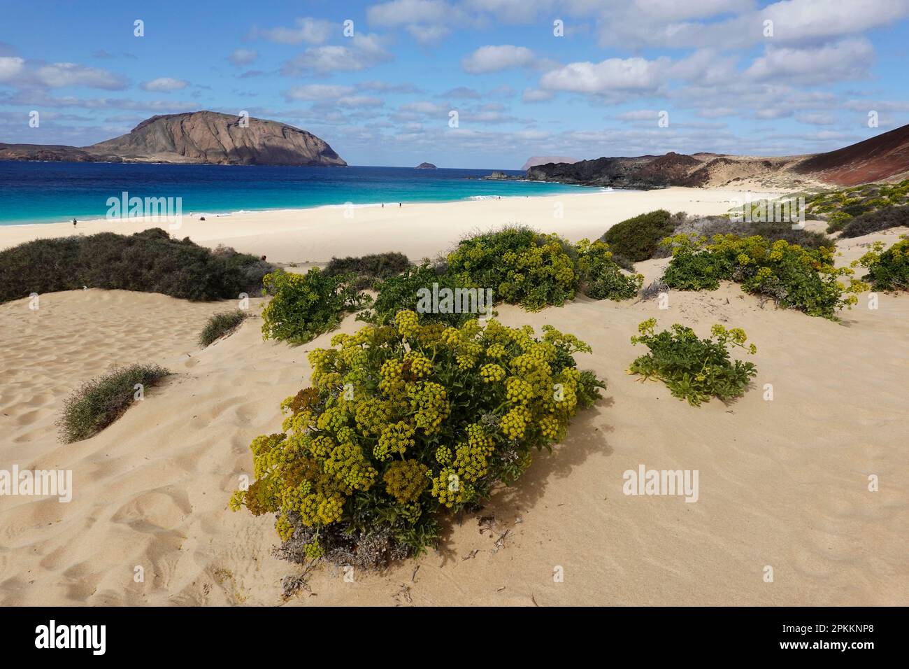 Playa de las Conchas, La Graciosa, Lanzarote, Islas Canarias, España, Atlántico, Europa Foto de stock