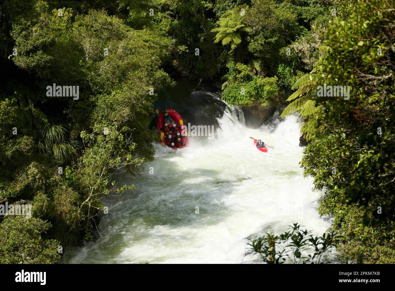 Rafting en aguas rápidas en Okere Falls en la isla norte de Nueva Zelanda Foto de stock
