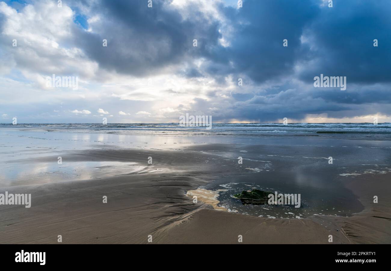 Las aguas de la piscina de marea reflejan cielos vibrantes y rodean una roca solitaria cubierta de algas marinas en la costa del Pacífico Foto de stock