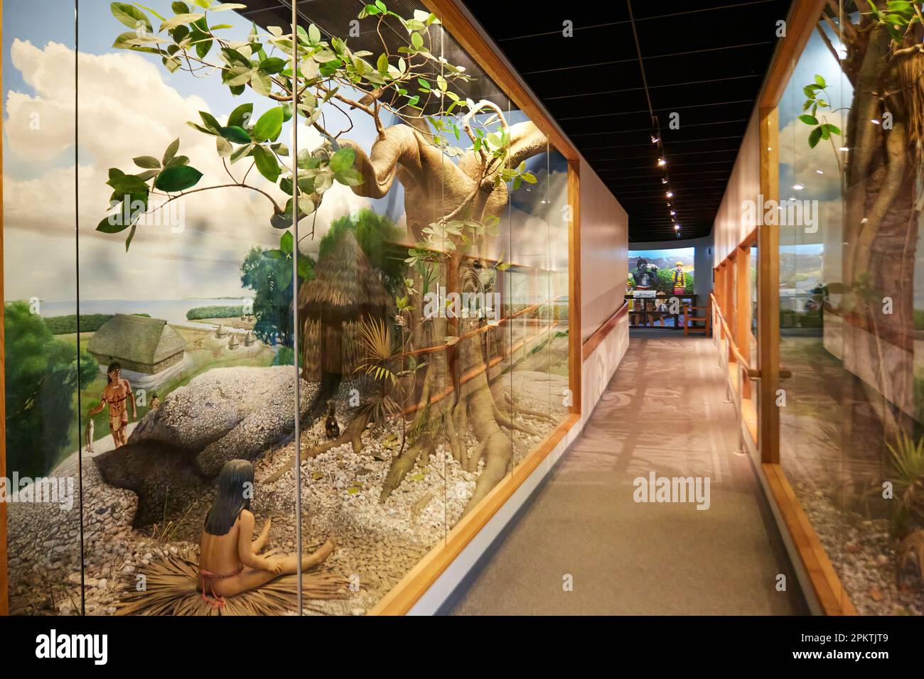 Gainesville, FL, EE.UU. 8 de abril de 2023: El Museo de Historia Natural de Florida es el museo oficial de historia natural patrocinado por el estado de Florida. Foto de stock