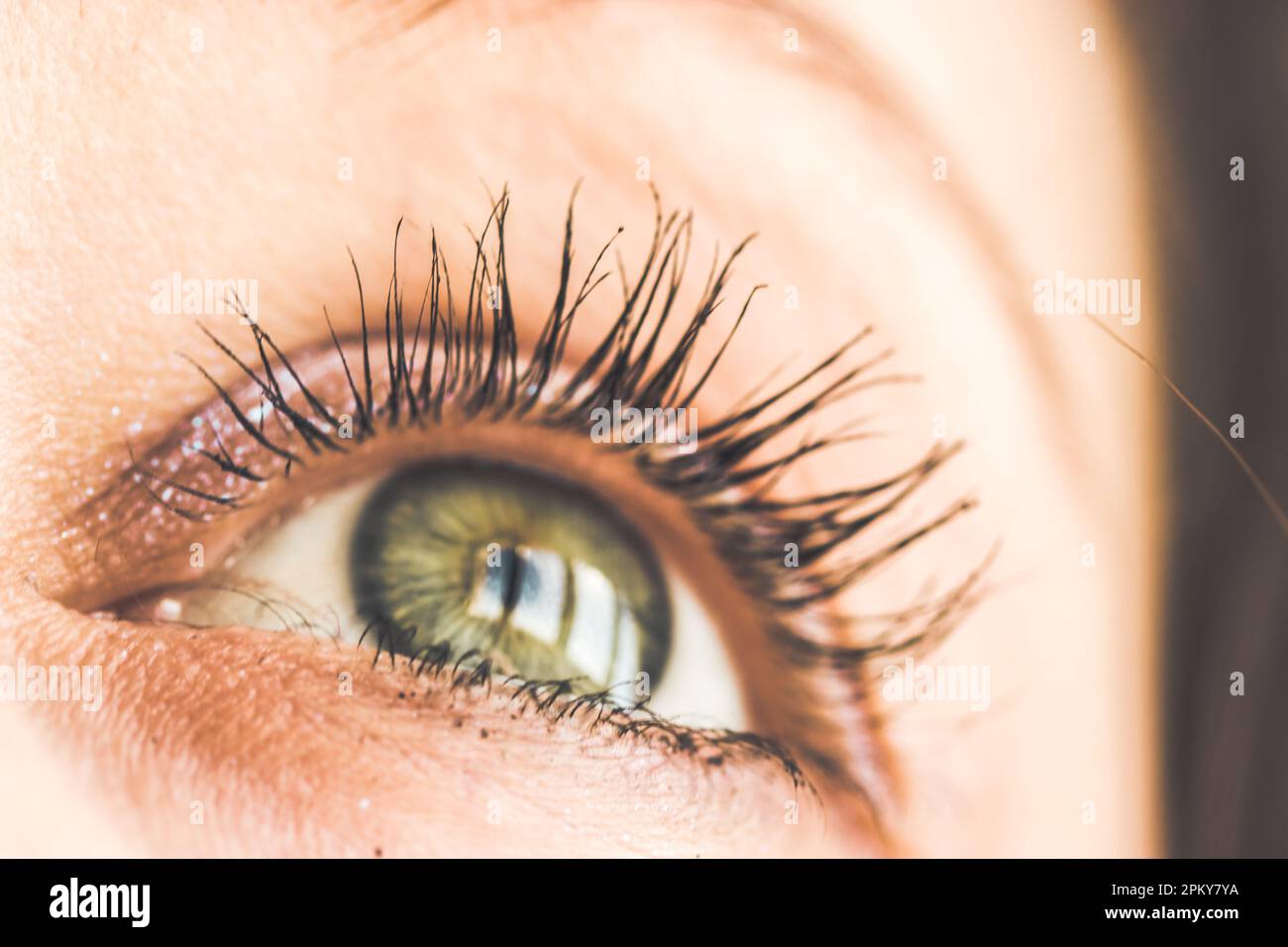 Hermoso ojo verde con pestañas largas Mujer chica está mirando mirada  femenina, visión Fotografía de stock - Alamy