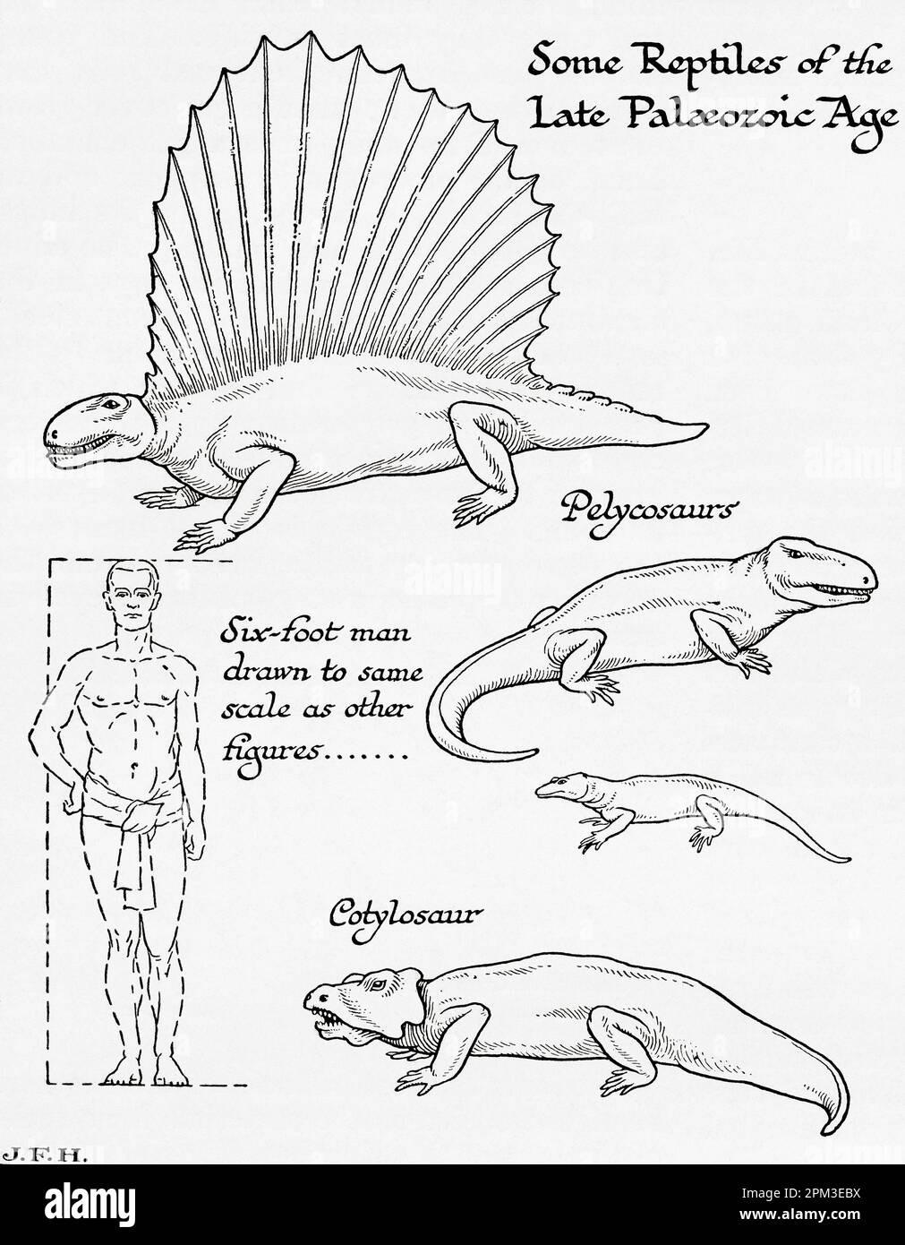 Algunos reptiles del Paleozoico tardío o Paleozoico. Se muestra en el diagrama un hombre de seis pies dibujado a la misma escala que otras figuras. Del libro Esquema de la Historia por H.G. Wells, publicado en 1920. Foto de stock