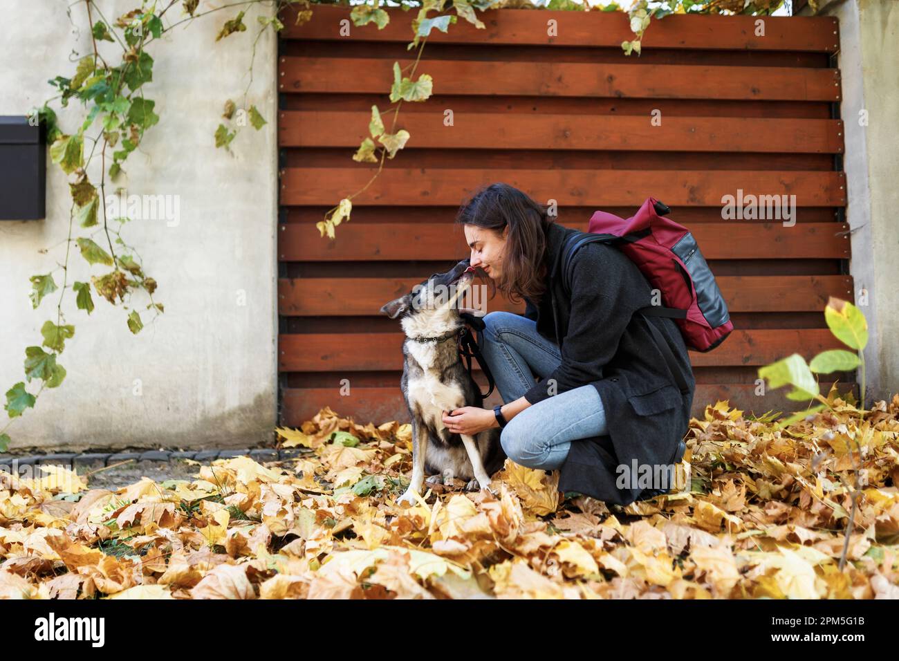perro lame la cara de su dueña en un paseo cerca de la casa Fotografía de  stock - Alamy
