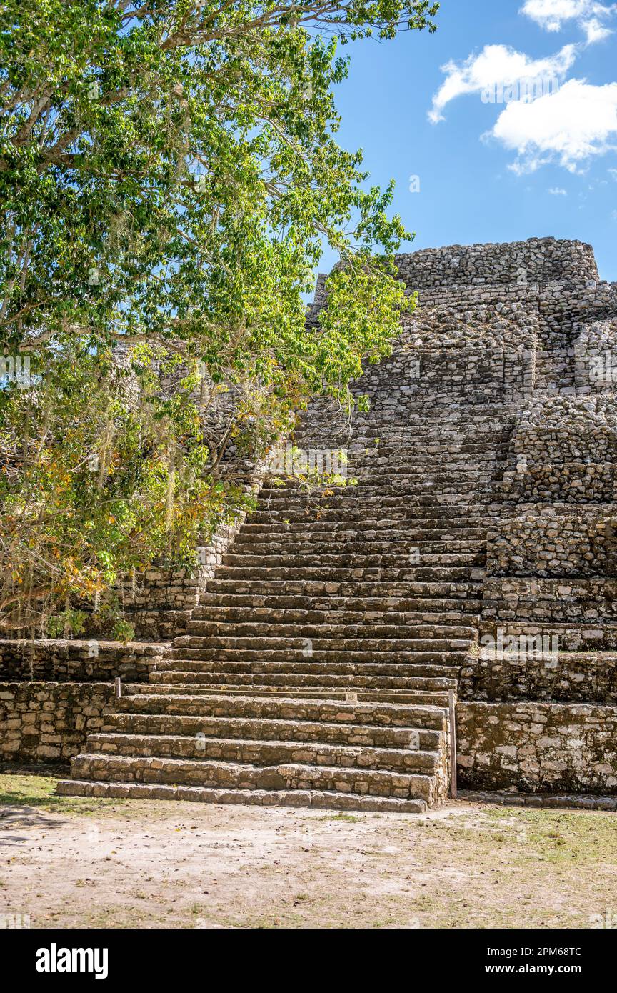 Antiguas ruinas mayas de Chacchoben en la selva cerca de la terminal de cruceros en Costa Maya. Foto de stock