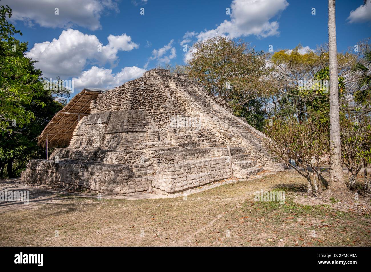 Antiguas ruinas mayas de Chacchoben en la selva cerca de la terminal de cruceros en Costa Maya. Foto de stock