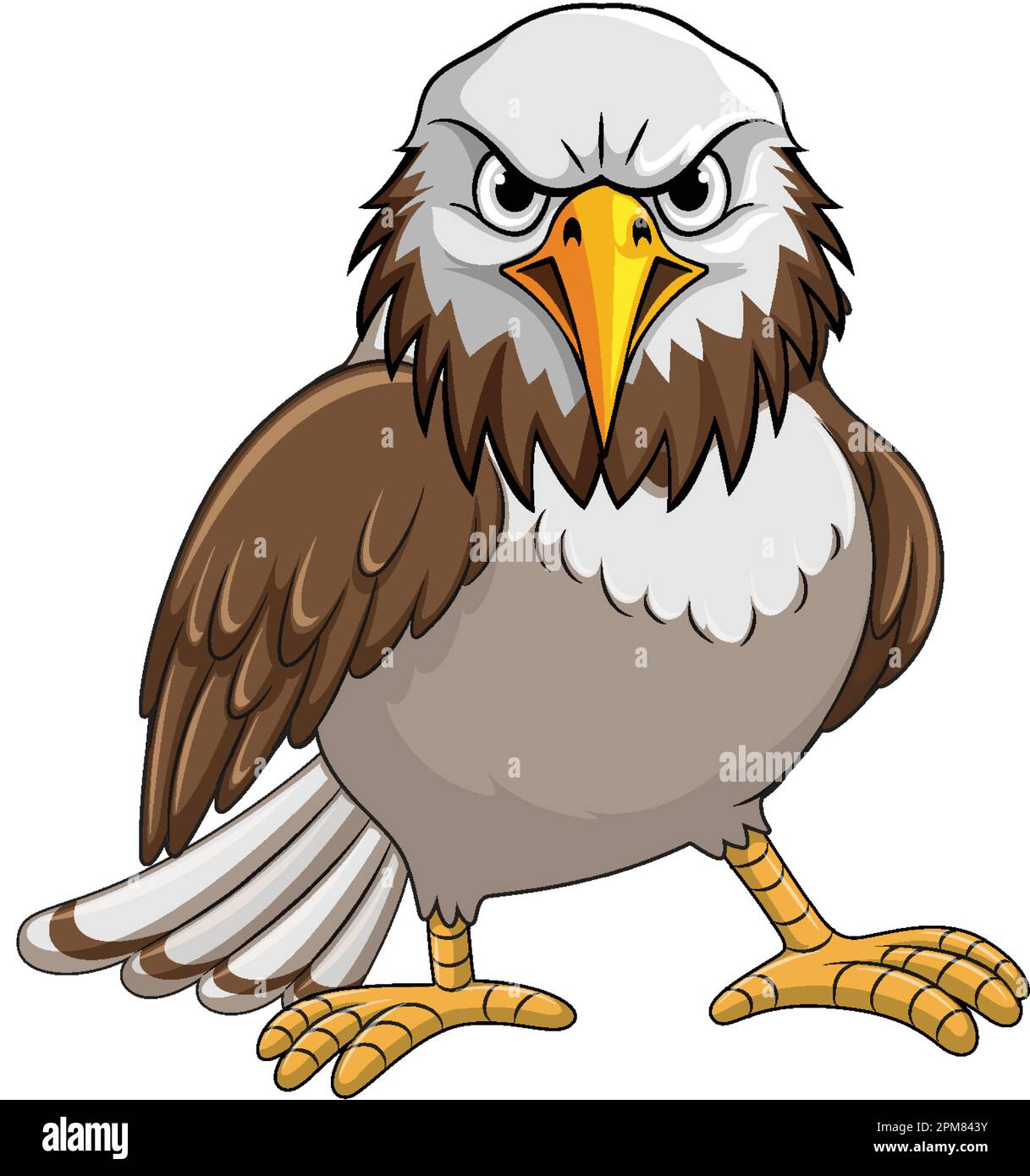Hawk Cartoon personaje aislado ilustración Imagen Vector de stock - Alamy