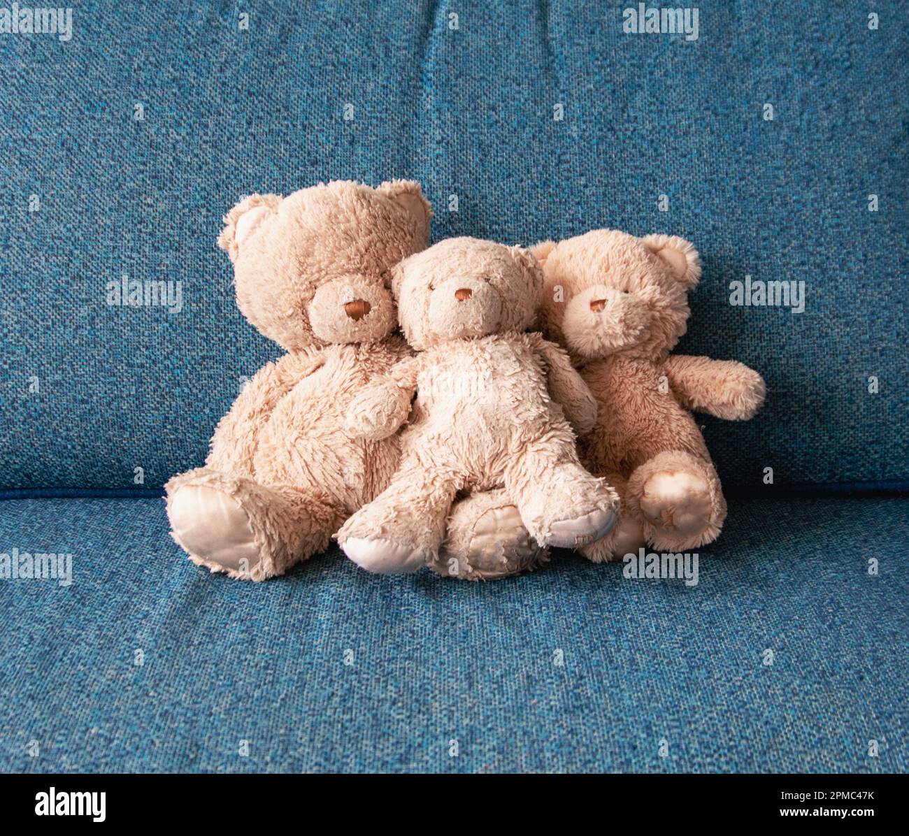 Tres osos de peluche muy queridos borrosos sentados en un sofá texturizado. Foto de stock