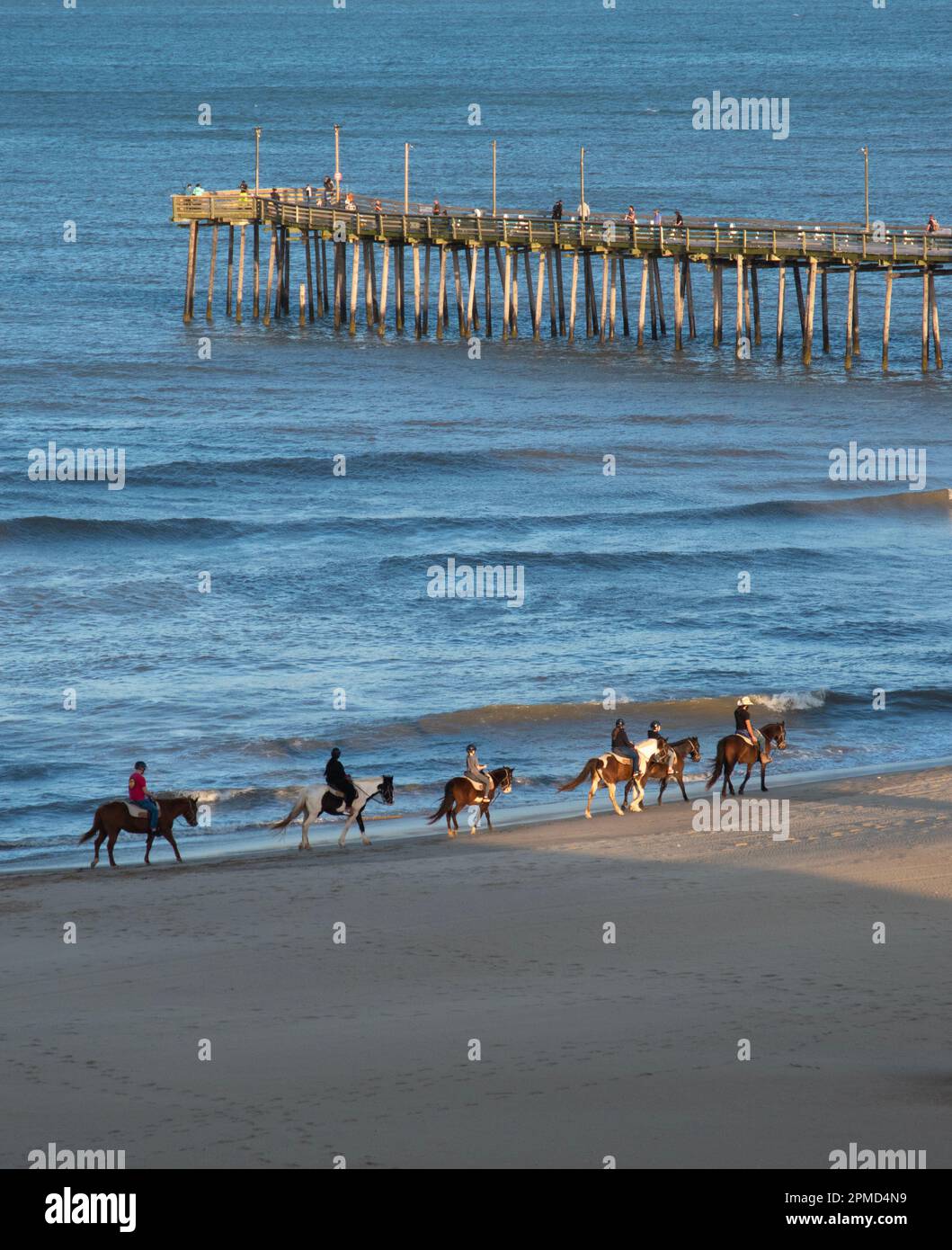 Paseos a caballo en la playa con un muelle de madera en el fondo. Foto de stock