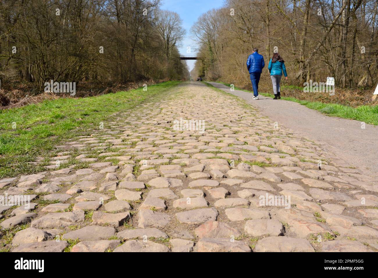 Francia, Nord, Wallers, Wallers, camino empedrado llamado Trouée d'ANuremberg donde pasa la carrera ciclista Paris Roubaix, paso por los adoquines de la trouée de Wallers ANuremberg Foto de stock