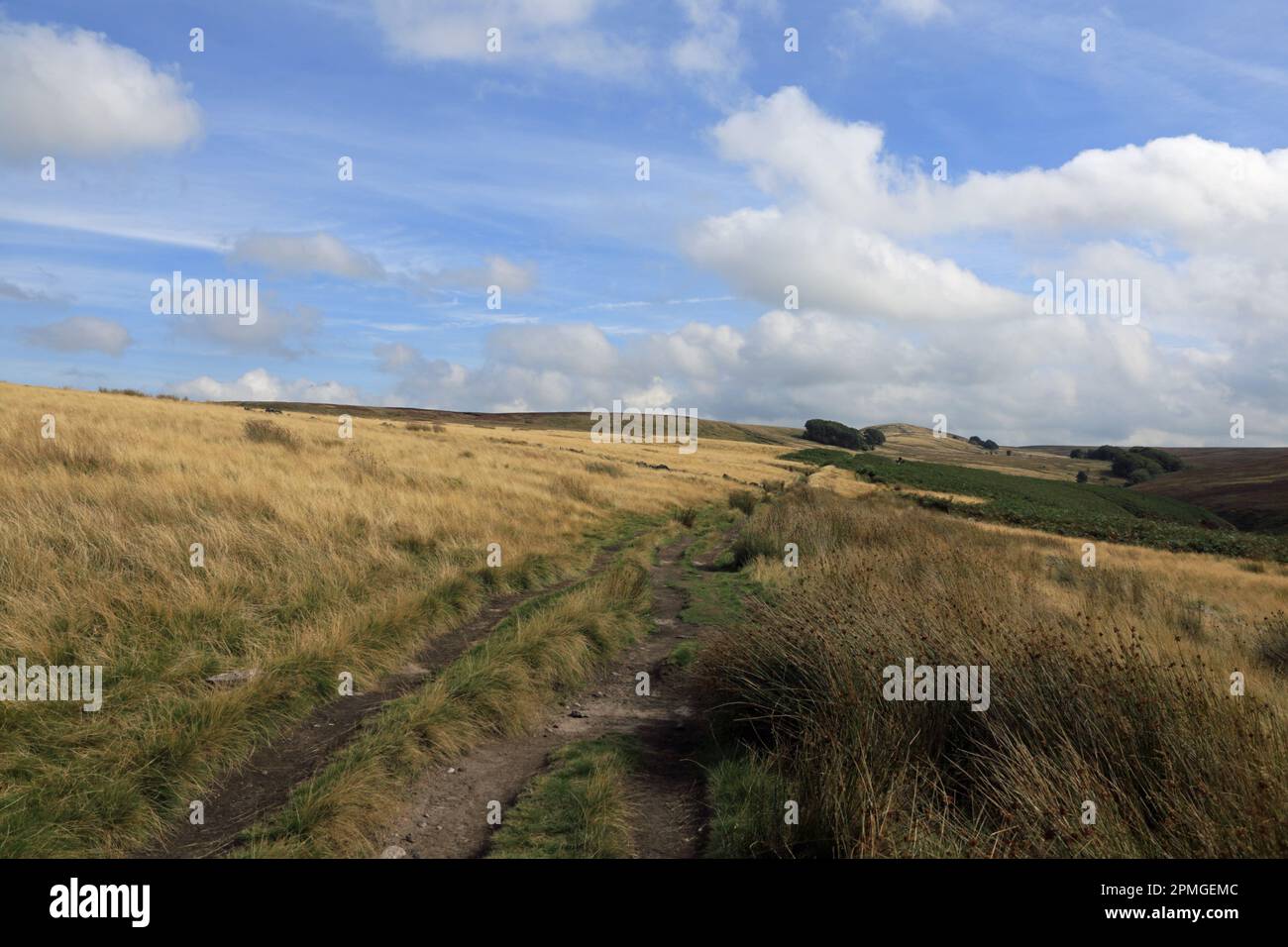 El sendero que discurre entre White coppice y Great Hill siguiendo el Dean Black Brook y el West Pennines Lancashire England Foto de stock