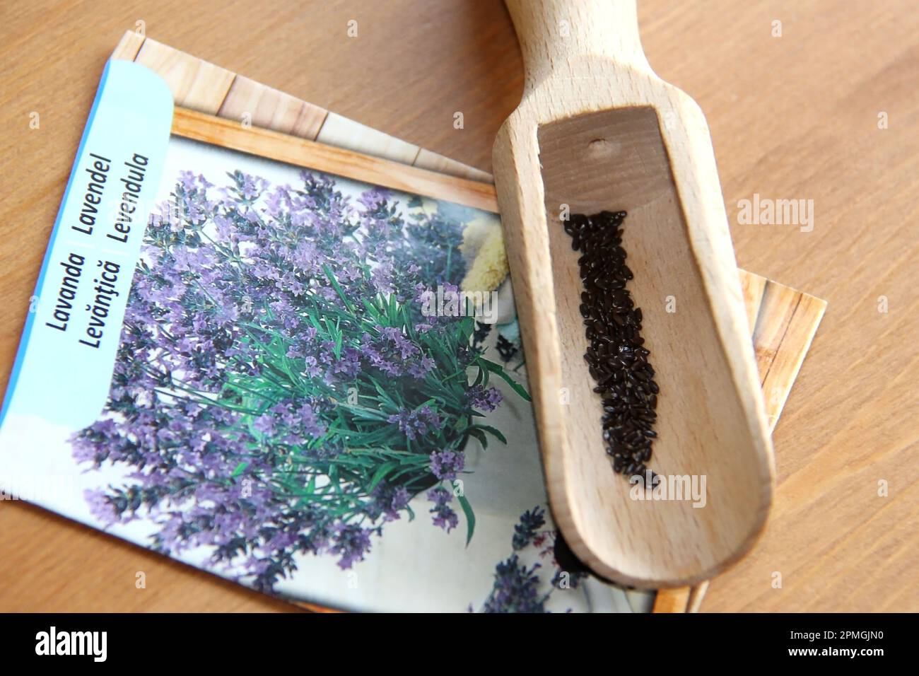 Semillas de lavanda en cuchara de madera en una mesa de cerca Foto de stock