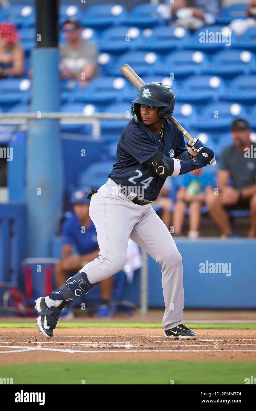 Tampa Tarpons Daury Arias (24) bats during an MiLB Florida State League baseball game against