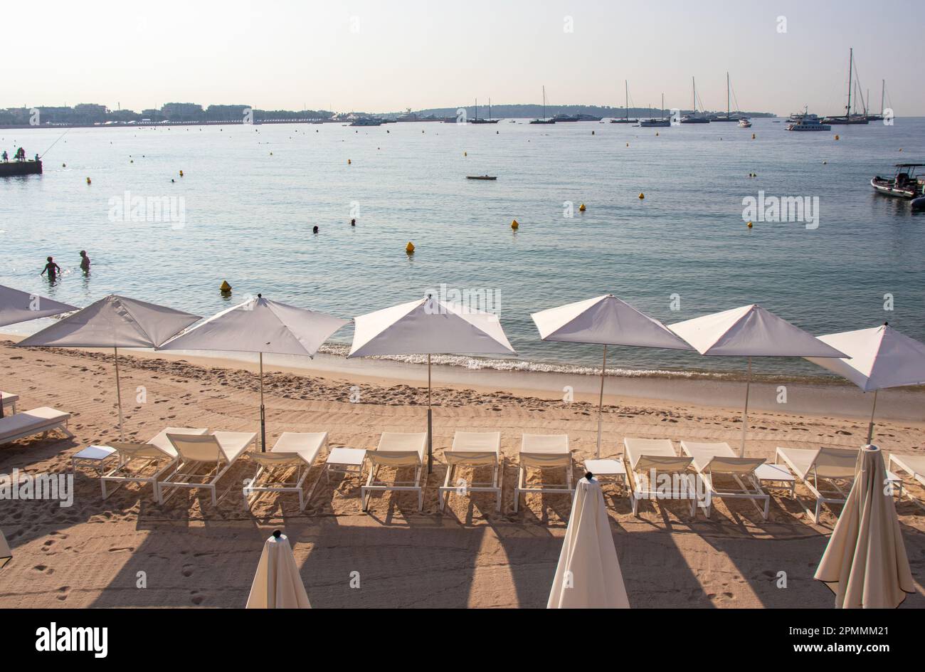 Filas de sombrillas blancas y tumbonas bordean la playa de arena dorada de Cannes en la Riviera Francesa por la mañana temprano, mientras que algunos nadadores y ang Foto de stock