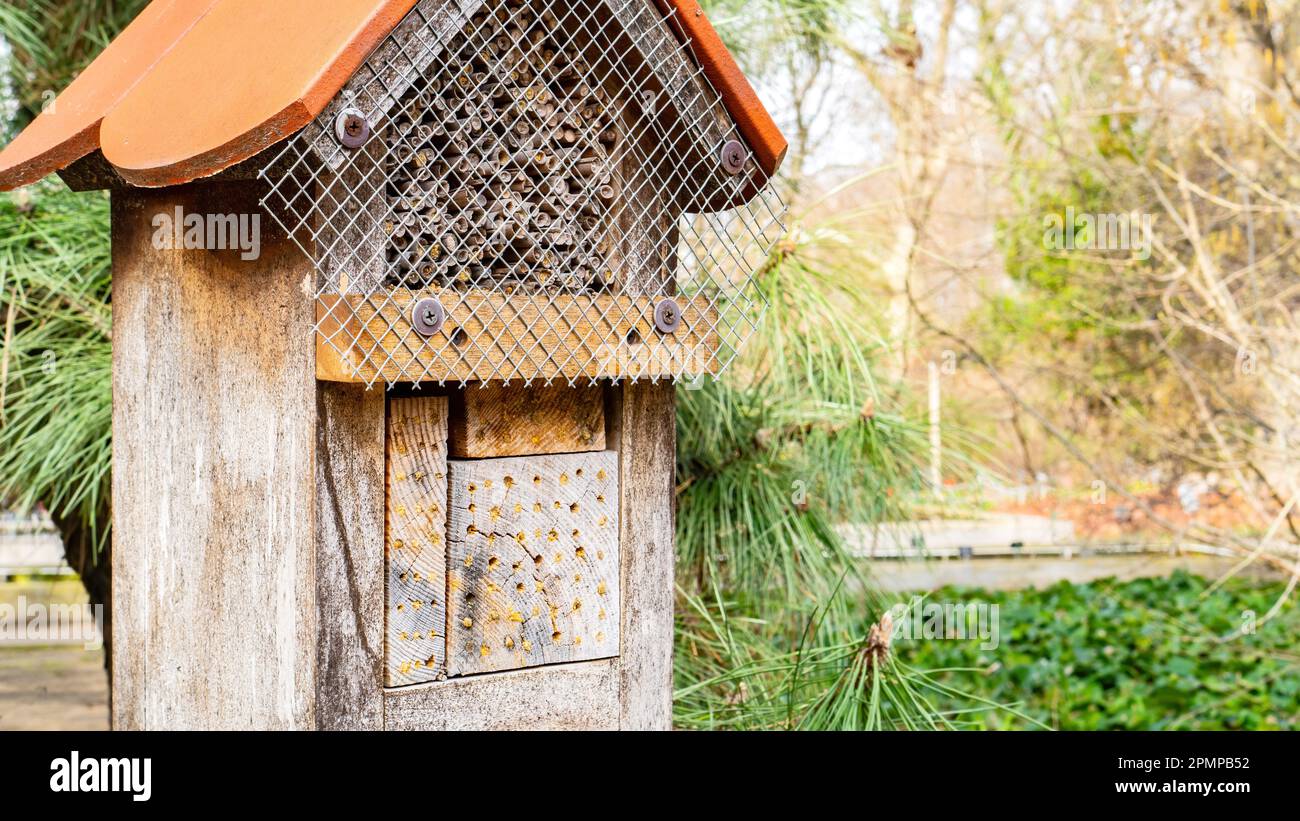 Casa de insectos cerca de la foto con espacio de copia. Hotel de insectos para el control de plagas de jardín. El concepto de aumentar la biodiversidad. DIY jardín craft ideas para Foto de stock