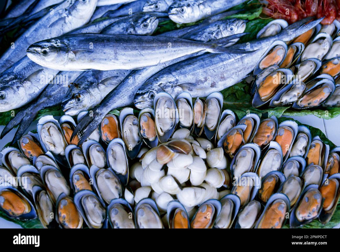 Almejas y pescado en un mercado de pescado; Malta Foto de stock