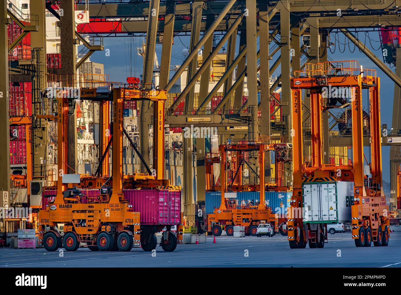 Grúas y straddles, Container Shipping Yard, Puerto de Elizabeth, Newark, Nueva Jersey Foto de stock