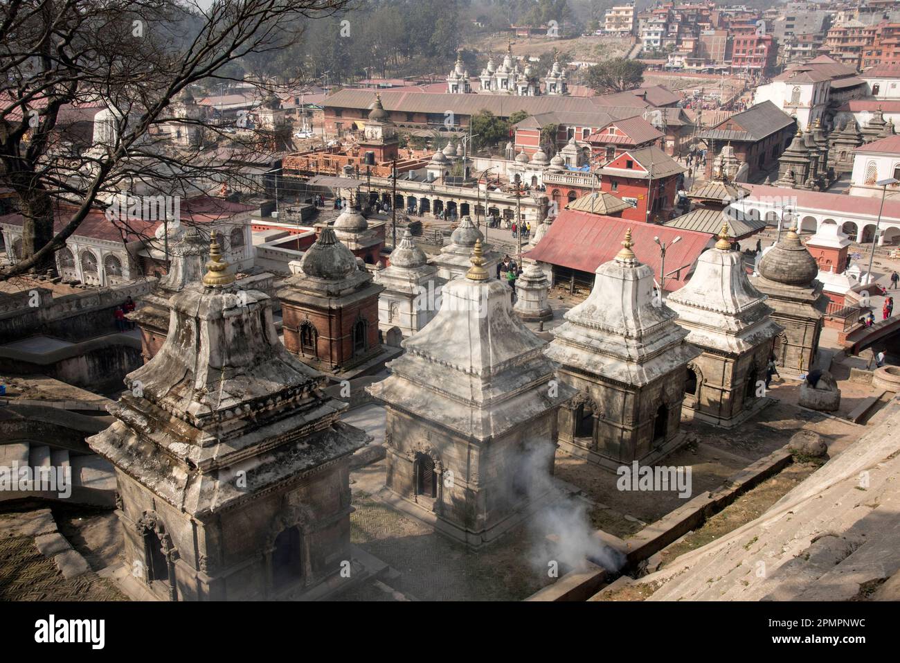 El templo de Pashupatinath en Katmandú. Foto de stock