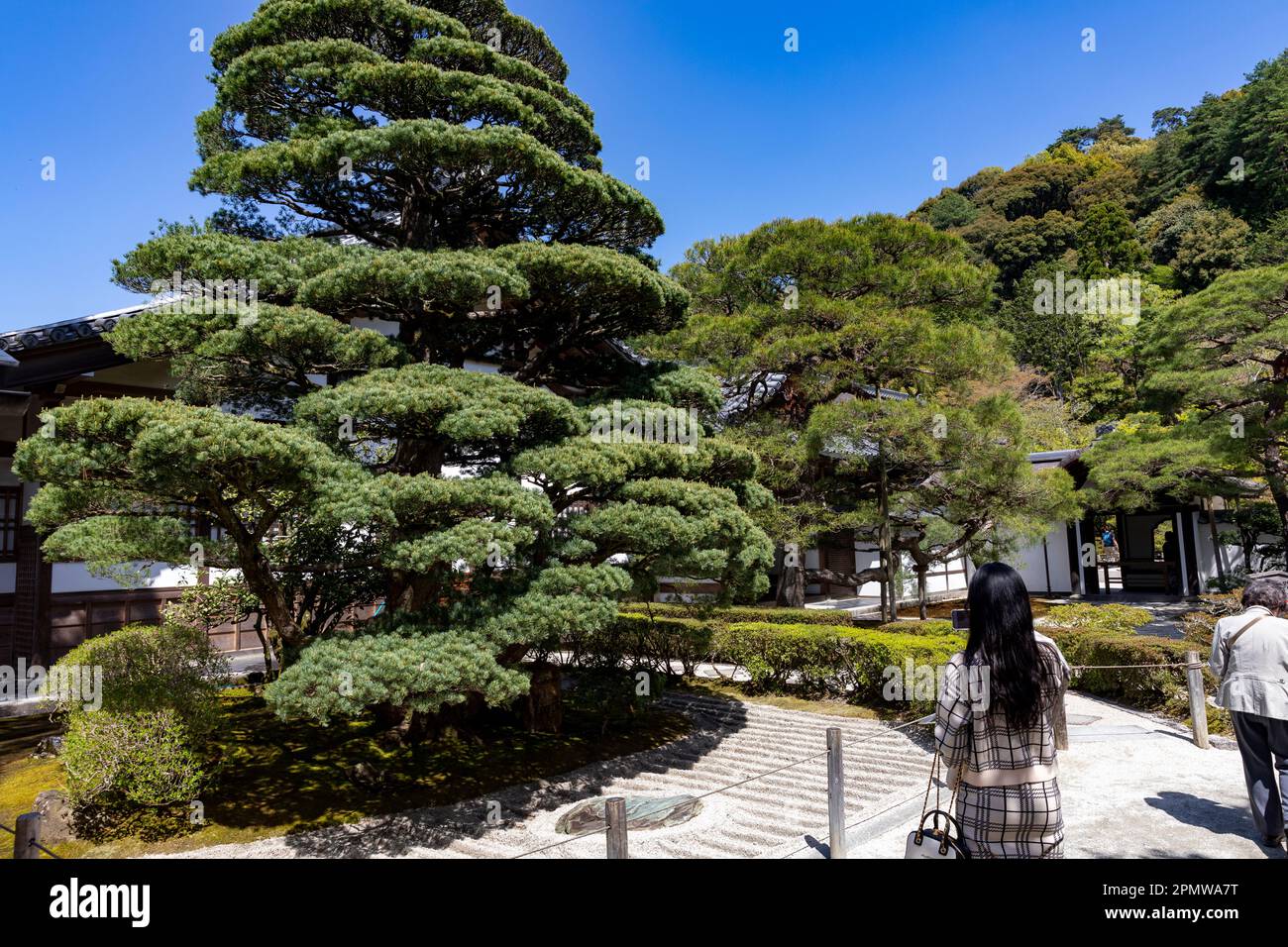 2023 de abril, Kioto Japón, recinto del templo Ginkaku-Ji y sus jardines en un soleado día de primavera, incluye un jardín de arena seca y terreno cubierto de musgo, Japón Foto de stock