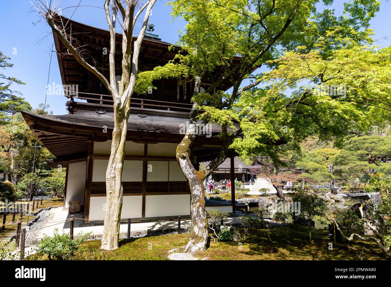 2023 de abril, Kioto Japón, recinto del templo Ginkaku-Ji y sus jardines en un soleado día de primavera, incluye un jardín de arena seca y terreno cubierto de musgo, Japón Foto de stock