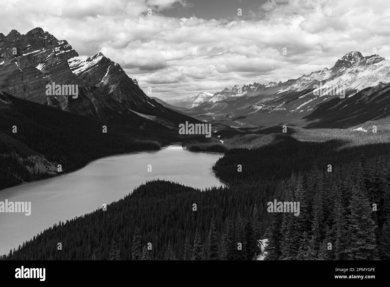 Lago Peyto y Montañas Rocosas Canadienses en blanco y negro, Parque Nacional Banff, Canadá. Foto de stock
