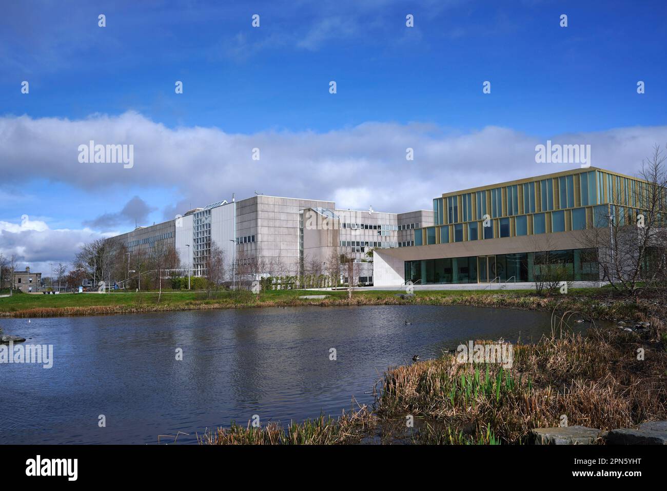 Campus de University College Dublin, con humedales naturales Foto de stock