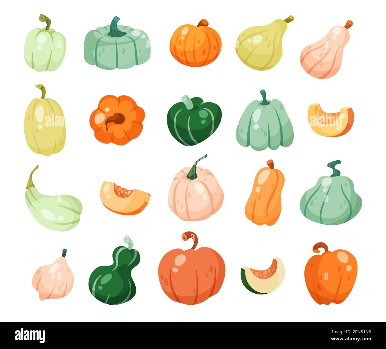 Diferentes tipos de calabazas o calabazas ilustraciones vectoriales