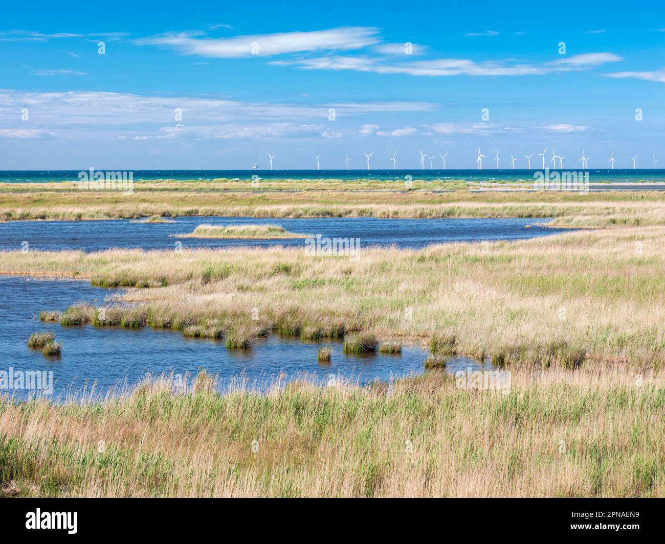 Brackish water zone fotografías e imágenes de alta resolución - Alamy