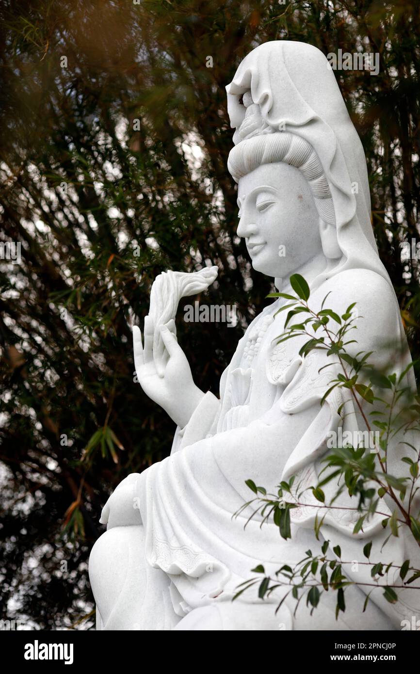 Templo budista Huynh Dao. A cargo de Bodhisattva Avalokitehvara. Estatua de  Guanyin ( Quan Am). La Diosa de la Misericordia y la Compasión. Chau Doc.  Vietnam Fotografía de stock - Alamy