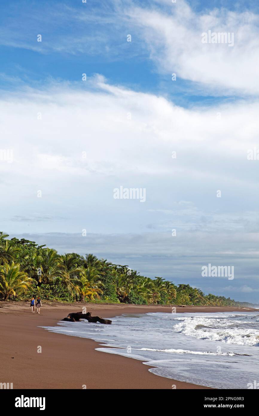 Playa de arena aislada en la costa del Caribe, Parque Nacional Tortuguero, Provincia de Limón, Costa Rica Foto de stock
