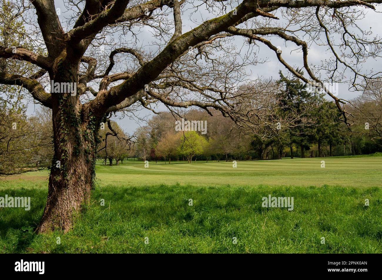 Maidenhead, Reino Unido. 19th de abril de 2023. Cala Homes planea