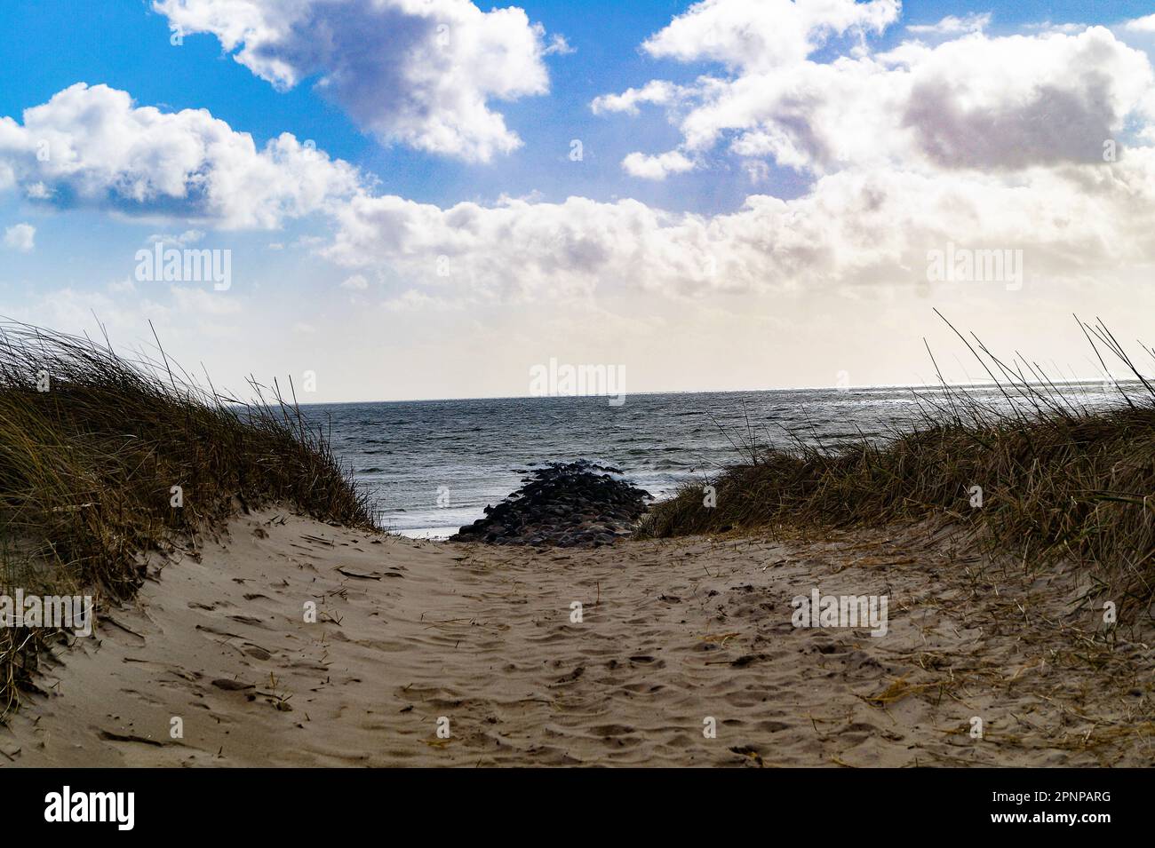 La playa interminable en el mar del norte Hvidbjerg Stranden Blavand Dinamarca Foto de stock