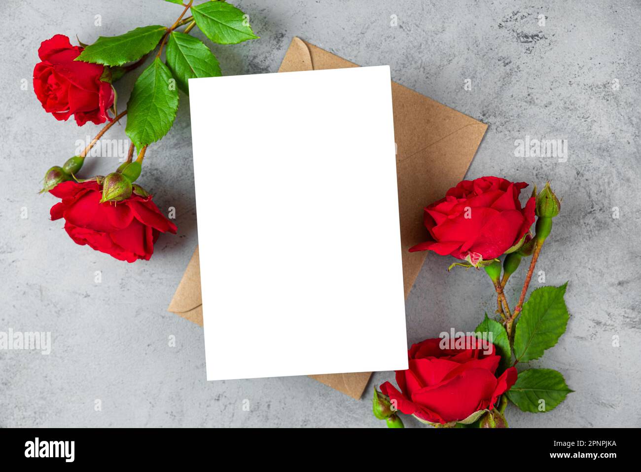 Tarjeta de felicitación en blanco con flores rosas rojas sobre fondo gris. Invitación de boda. Maqueta. Colocación plana. Diseño para el día de la madre y el día de San Valentín Foto de stock