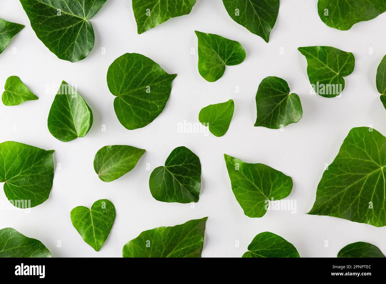 Verde hojas corazón en forma de fondo de mármol blanco. Naturaleza patrón de fondo abstracto. Eco Concept protección ecológica. Vista superior Foto de stock