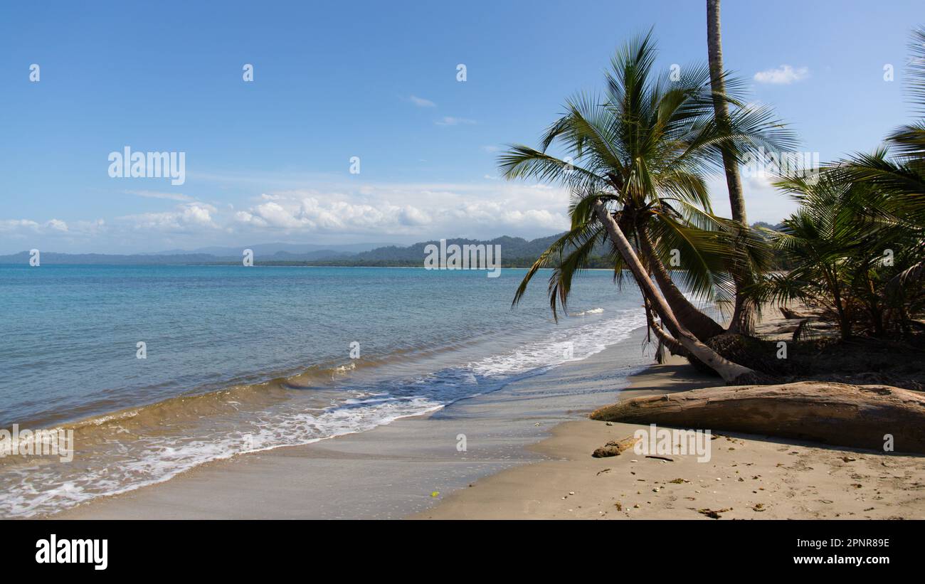 playa cahuita, playa, meer, ozean, küste, wasser, himmel, sand, landschaft, sommer, natur, fels, küstenlinie, meerlandschaft, tropisch, welle, urlaub, Foto de stock