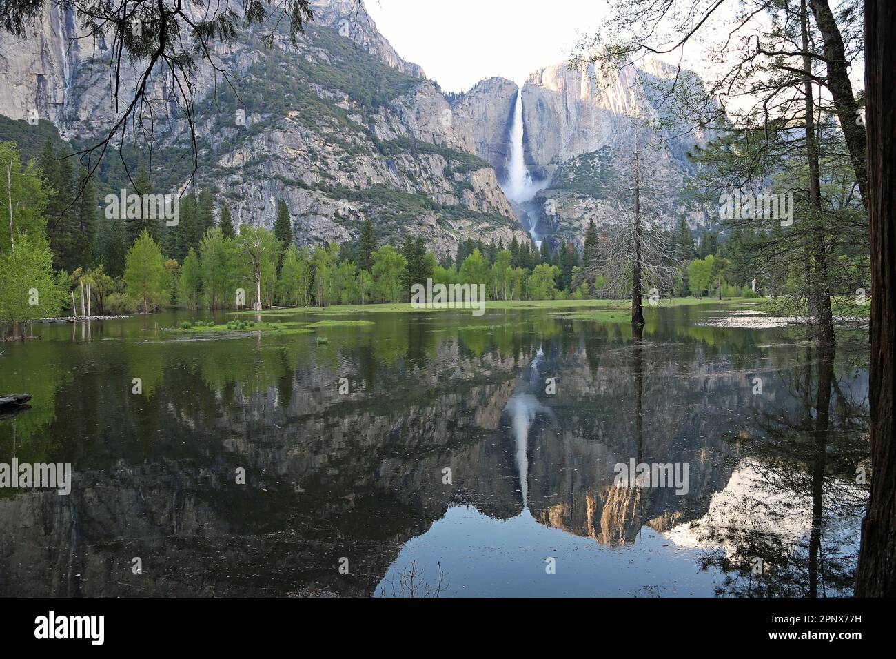 Double FALLS - Yosemite NP, California Foto de stock