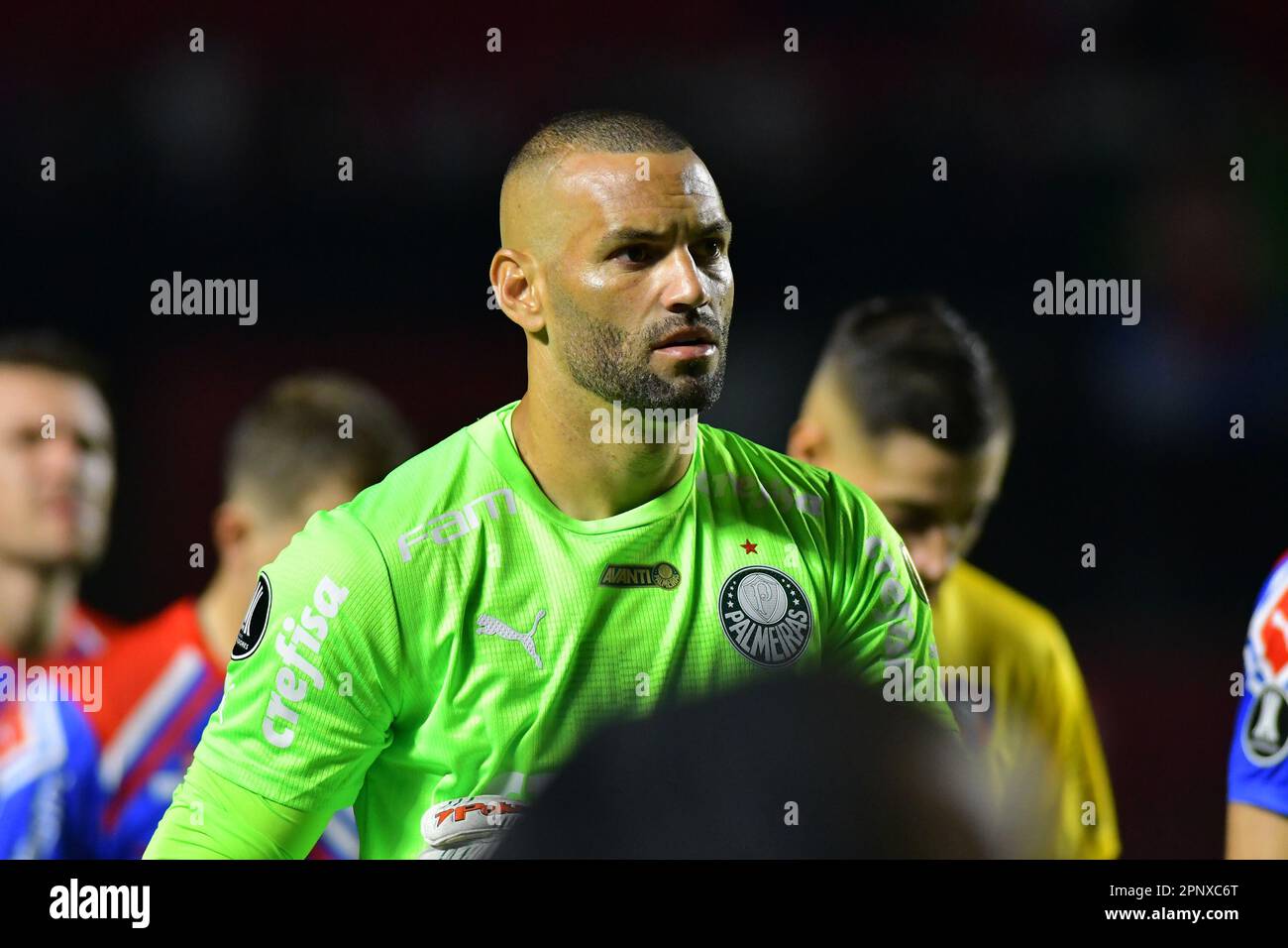 AQUI ESTÁ WEVERTON Y SUS MEJORES ATAJADAS EN EL #BRASILEIRAO 