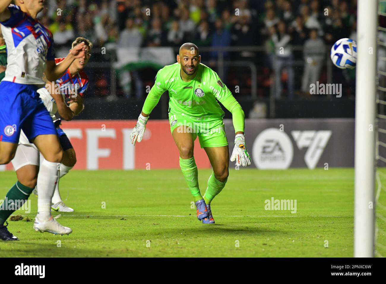 AQUI ESTÁ WEVERTON Y SUS MEJORES ATAJADAS EN EL #BRASILEIRAO 