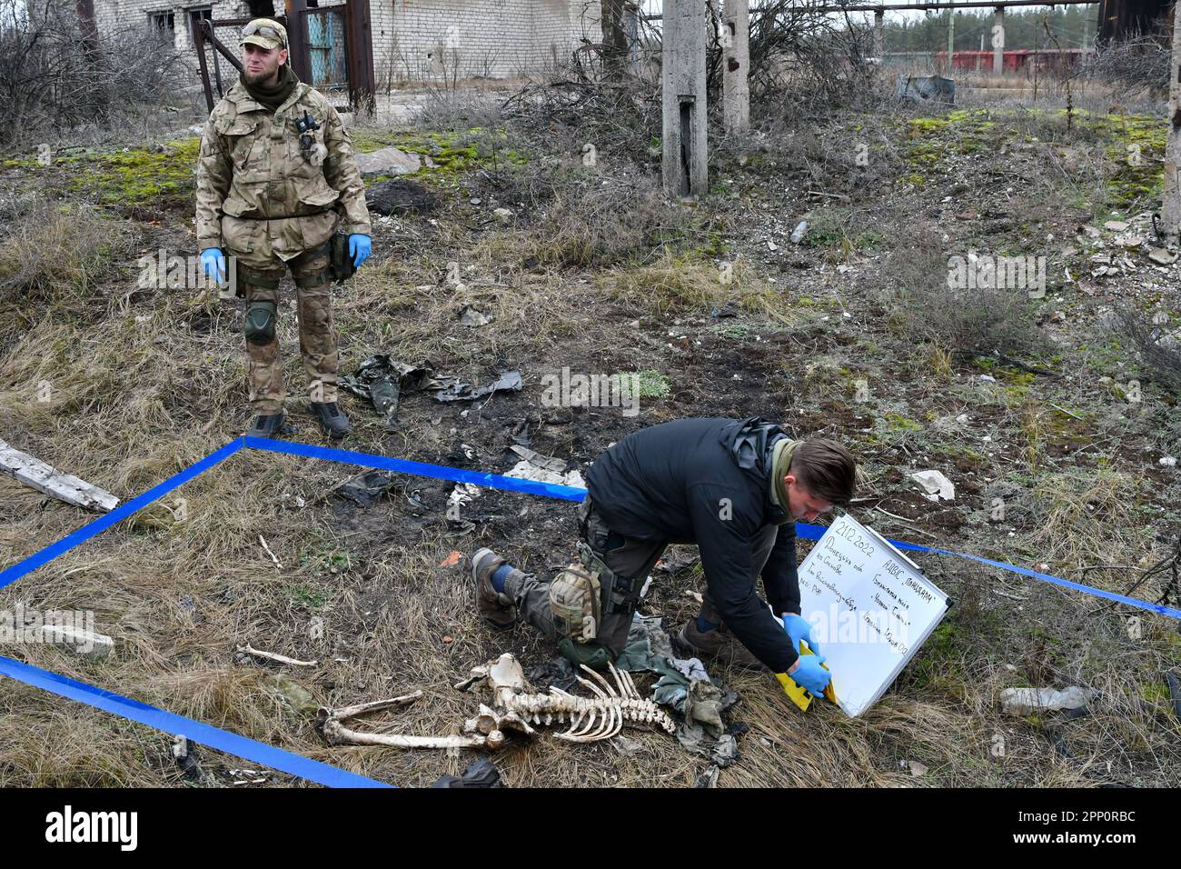 Oleksiy Yukov, de 37 años, el líder del grupo Tulip Negro (izquierda) y un miembro del equipo examinan los restos de uno de los soldados rusos muertos en batallas y abandonados por las tropas rusas en Sviatohirsk. La ONG Tulipán Negro (Organización No Gubernamental), Ucrania fue fundada a principios de la década de 2010s para encontrar y recuperar los restos de soldados muertos durante las dos guerras mundiales. Pero ahora el grupo está formado por unos 100 voluntarios y en busca de víctimas de una guerra contemporánea que comenzó con una insurgencia pro-rusa en 2014 en el este de Ucrania y que envolvió a todo el país Foto de stock