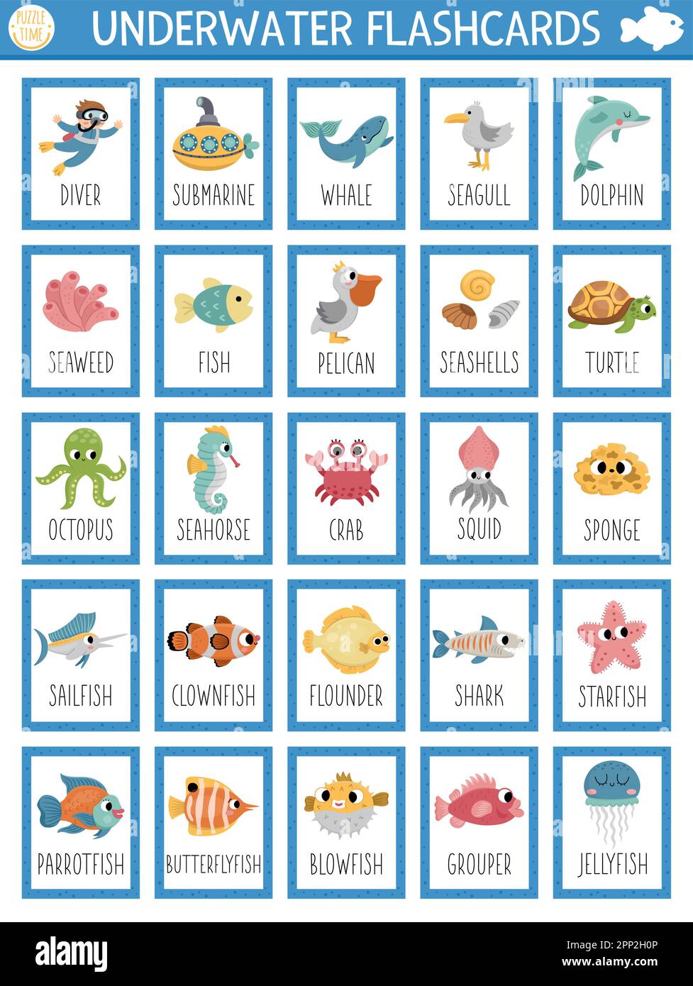 Vector grandes tarjetas flash con animales acuáticos, algas marinas