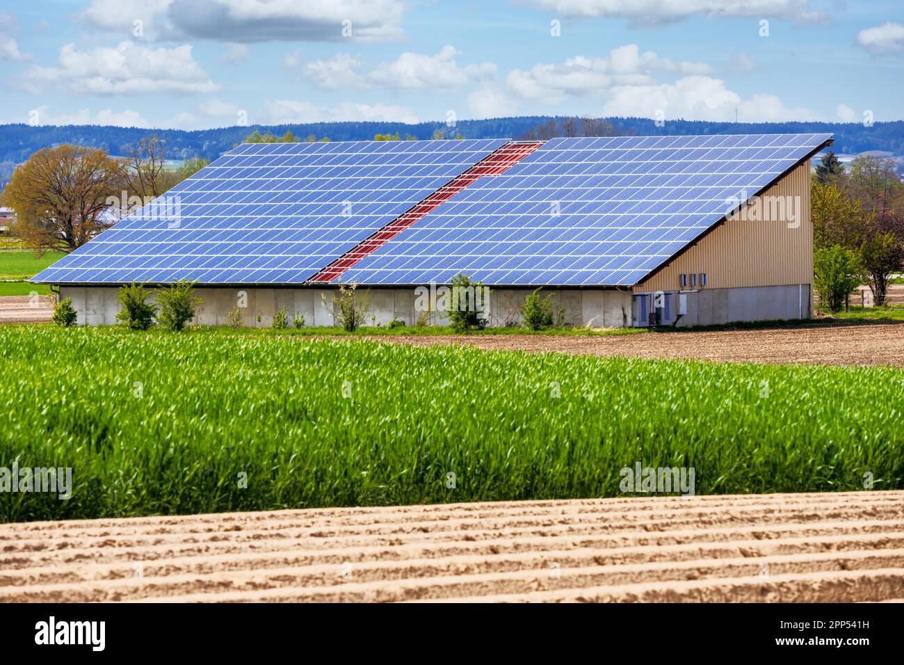 Energía verde con colectores solares en el tejado de un edificio agrícola Foto de stock