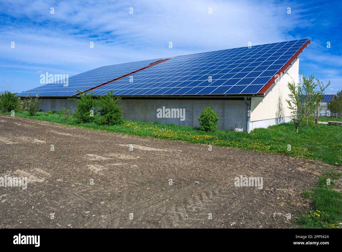 Energía verde con colectores solares en el tejado de un edificio agrícola Foto de stock