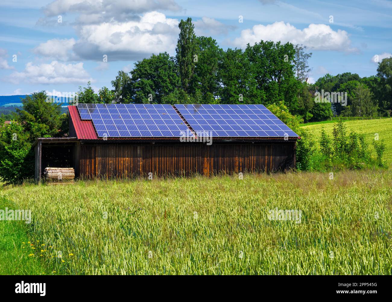 Energía verde con colectores solares en el tejado de un edificio agrícola Foto de stock